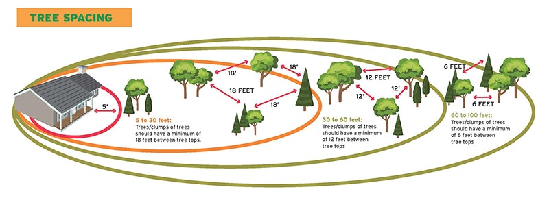 May contain: chart, diagram, plan, plot, plant, and vegetation