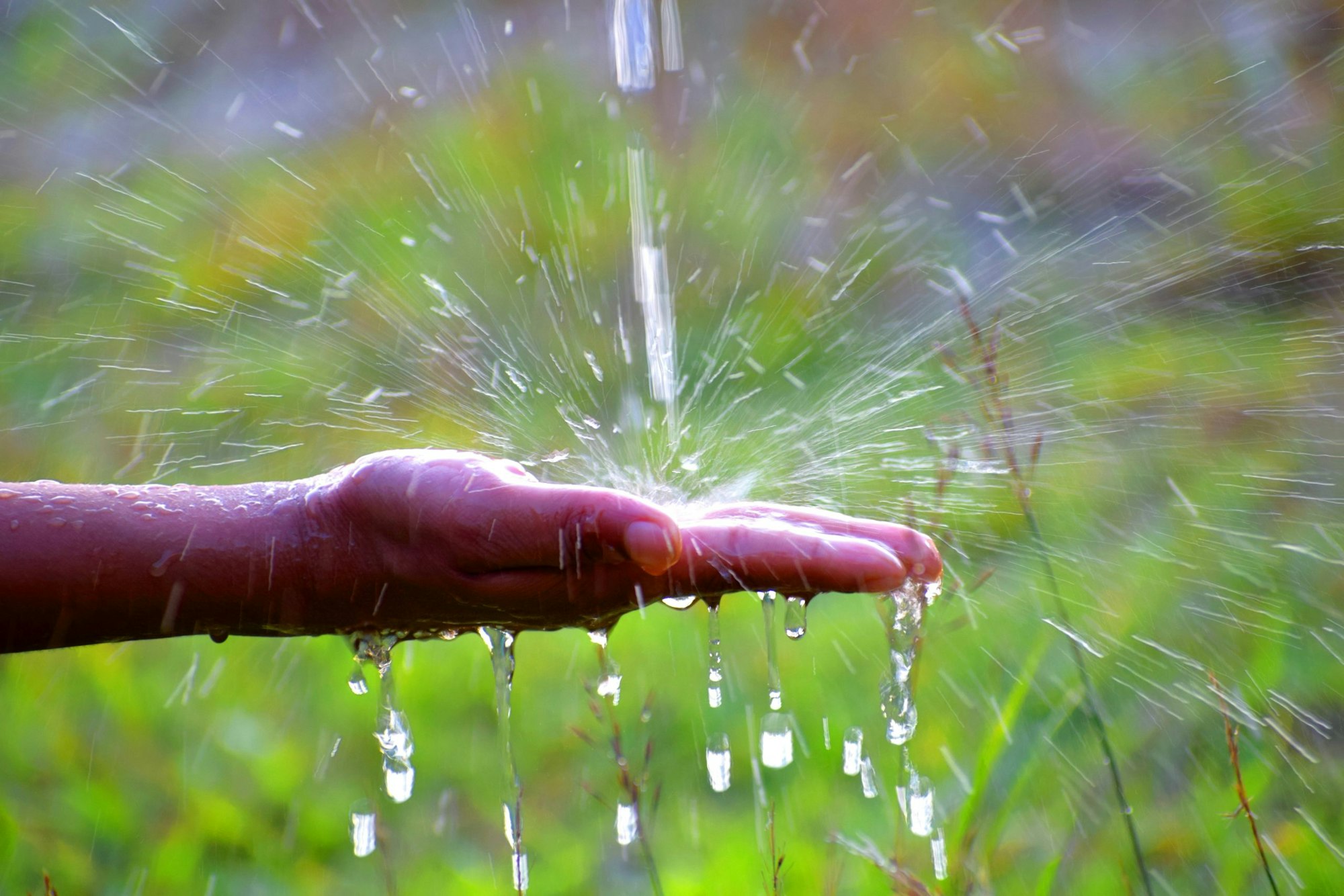 A hand catching water, with droplets splashing in all directions against a blurred green background.