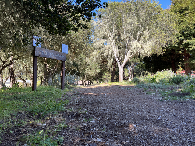 May contain: ground, gravel, dirt road, road, tree, plant, and tree trunk