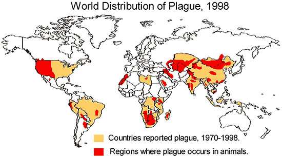 World Map - world distribution of plague, 1998