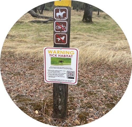 May contain: sign, symbol, plant, and tree