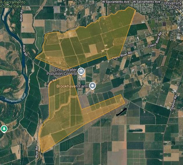 A satellite map showing Brookhaven Farm, Chico Water Pollution Control, and surrounding fields with marked boundaries in Chico, CA.