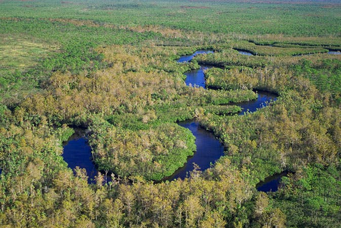 aerial view of the meandering Loxahatchee River with natural land surrounding the waterway