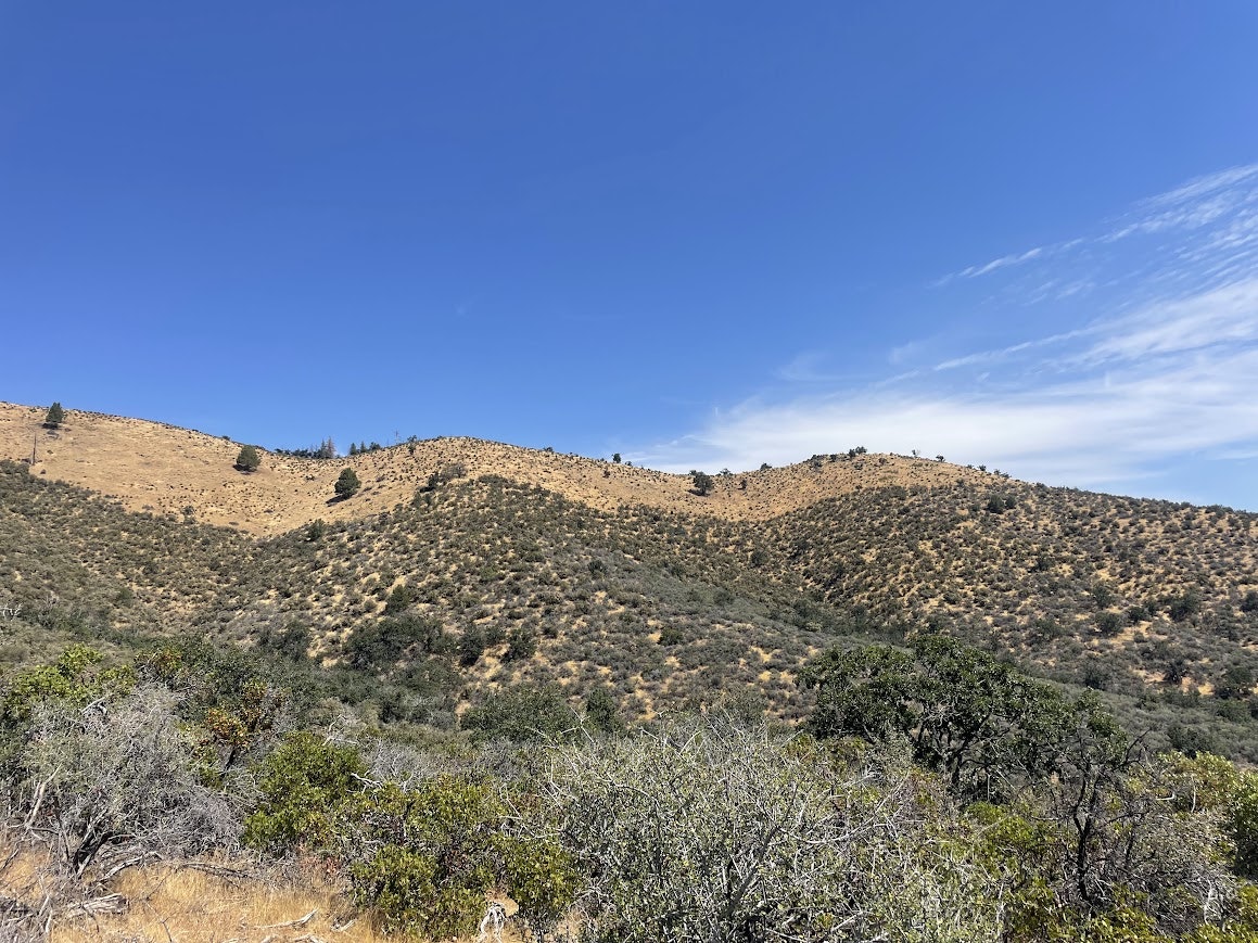 A dry, shrub-covered hillside under a clear blue sky with sparse clouds.