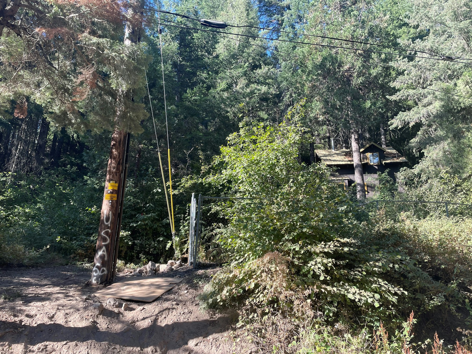 A wooded area with a utility pole and house partially visible through the trees.
