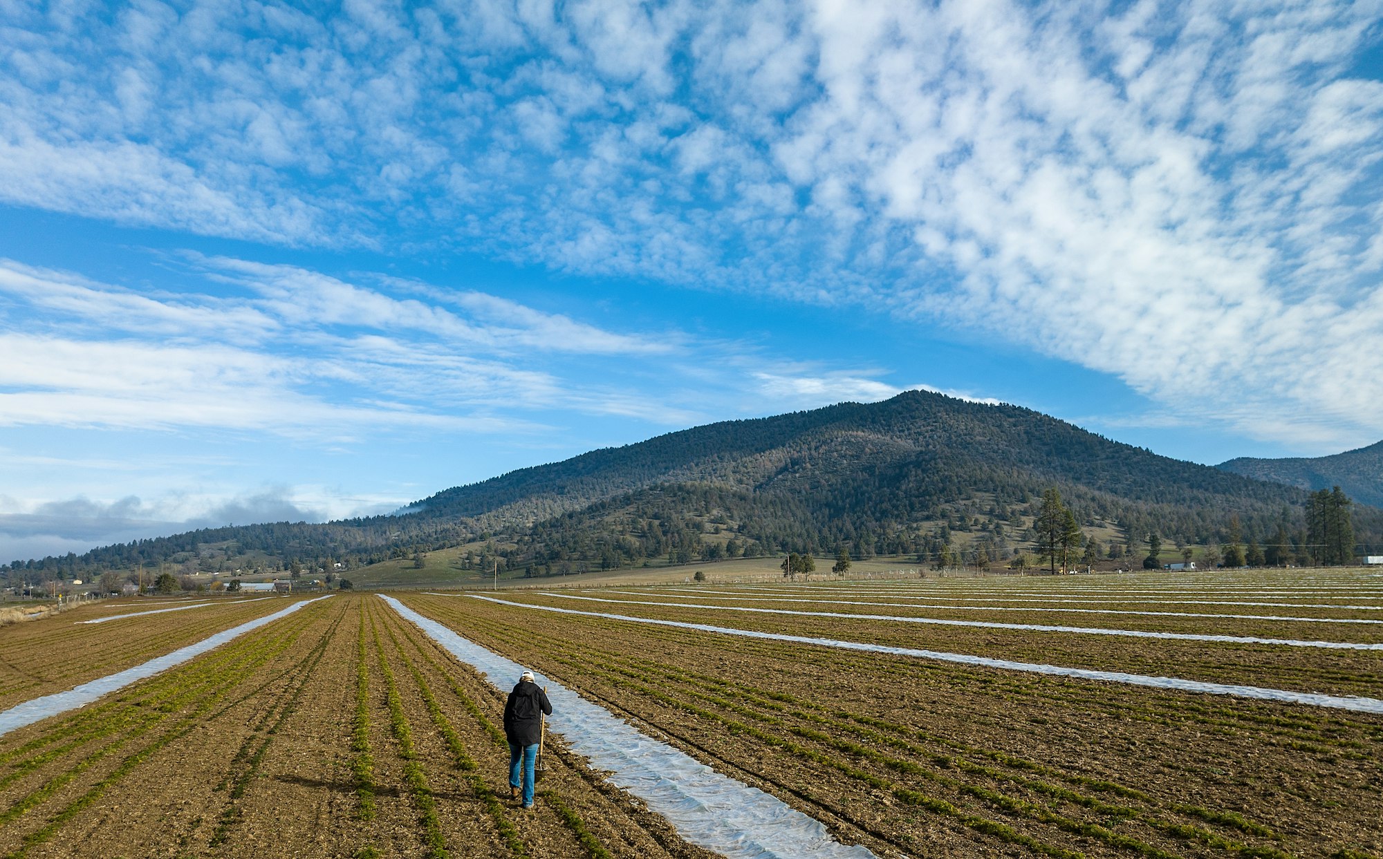 May contain: outdoors, nature, person, walking, scenery, field, countryside, sky, clothing, and hat