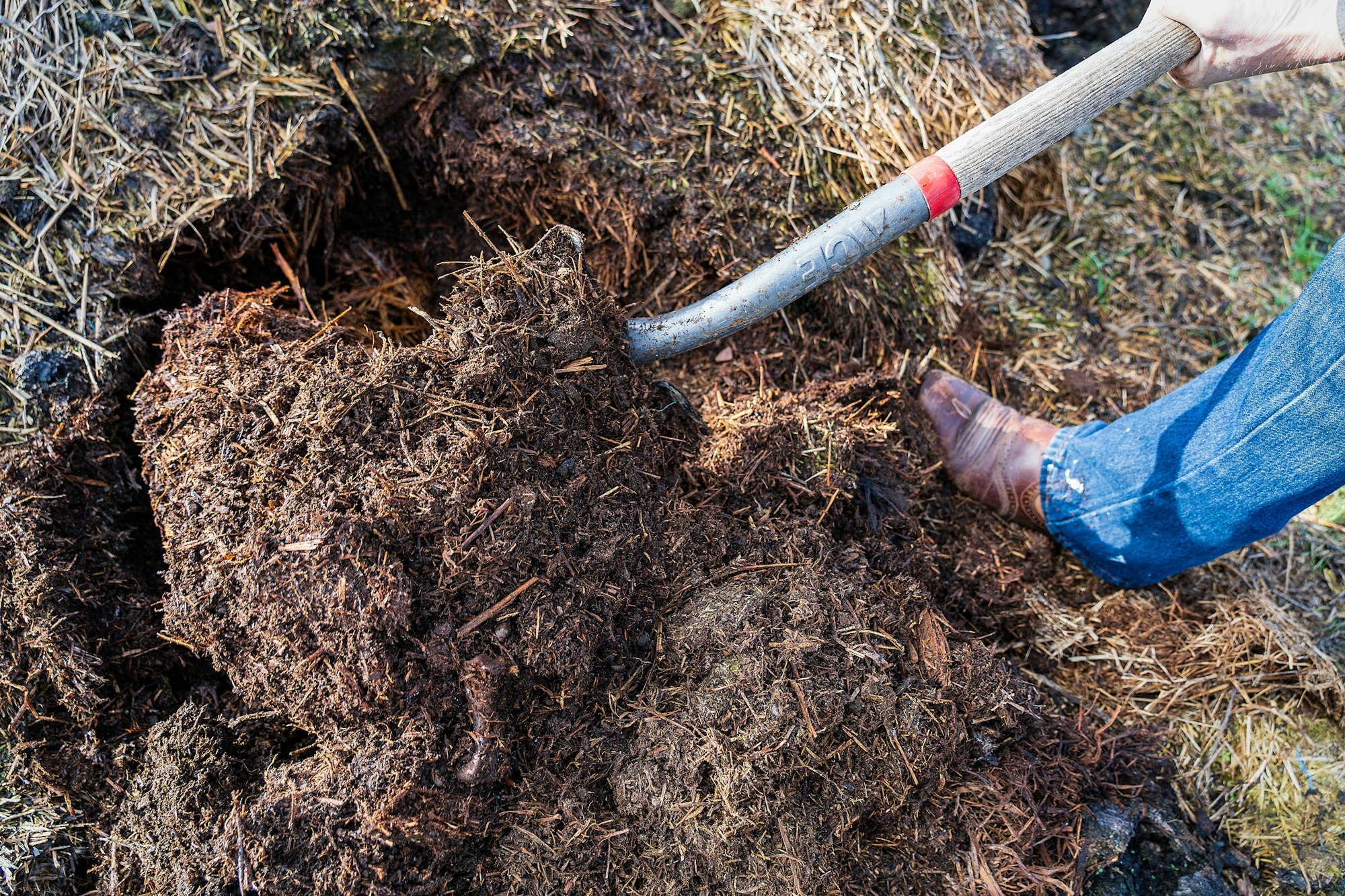 Person with a pitchfork turning over compost in a pile.