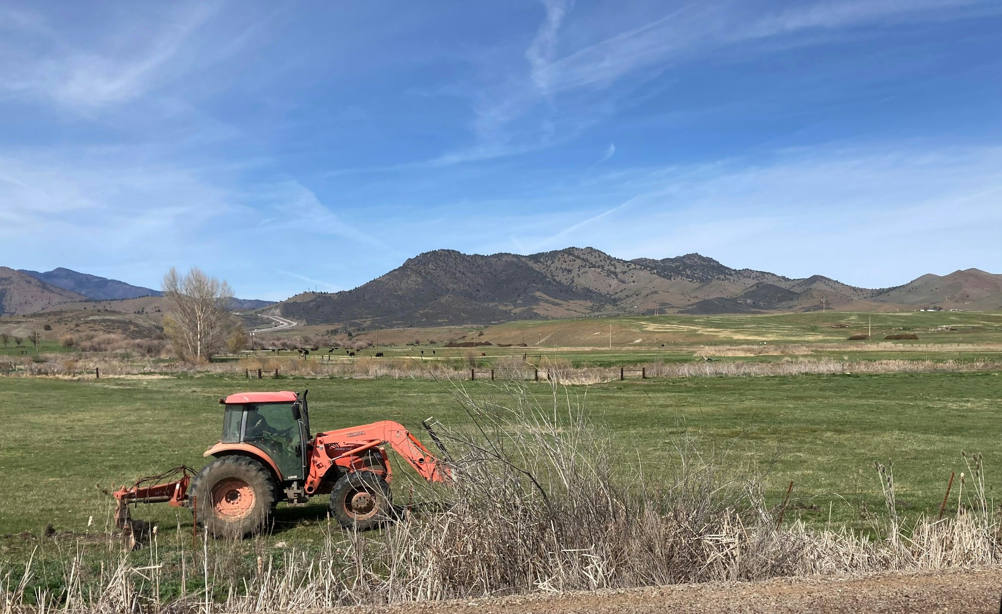 An orange tractor on a field with mountains in the background
