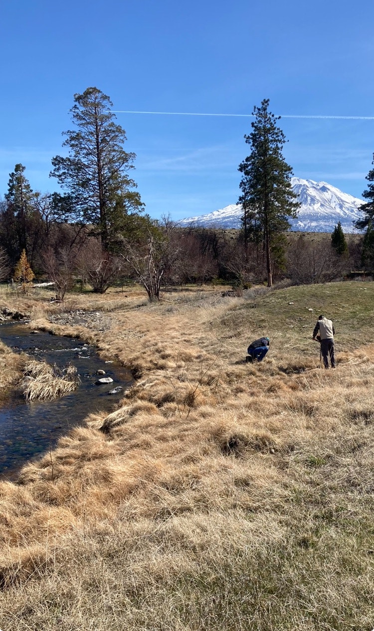 A stream, two people, trees, and a snowy mountain under a blue sky.