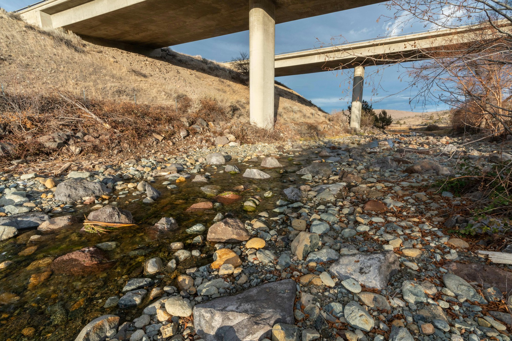 Parks Creek looking east
