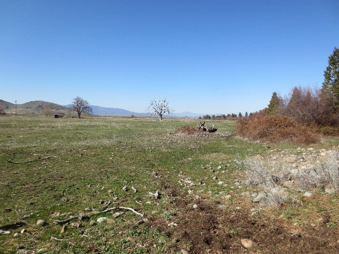 Rural landscape with grass, trees, and hills under a clear sky.