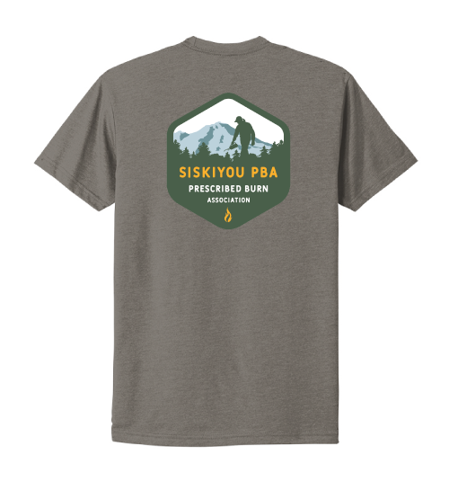 Grey t-shirt with the SPBA logo on it in green and yellow writing