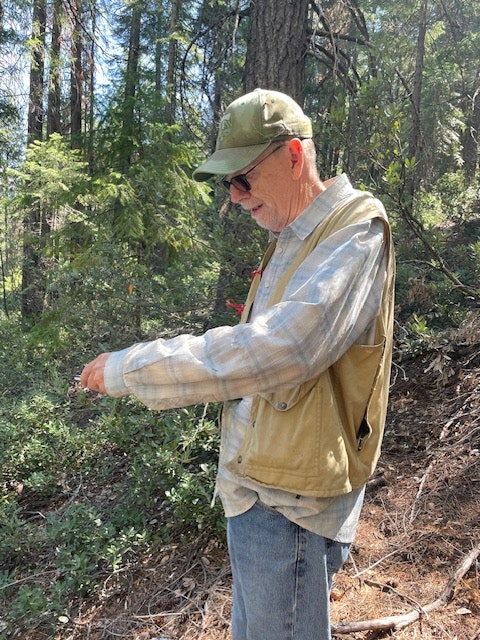 A person in outdoor attire, wearing a hat and vest, standing in a forested area.