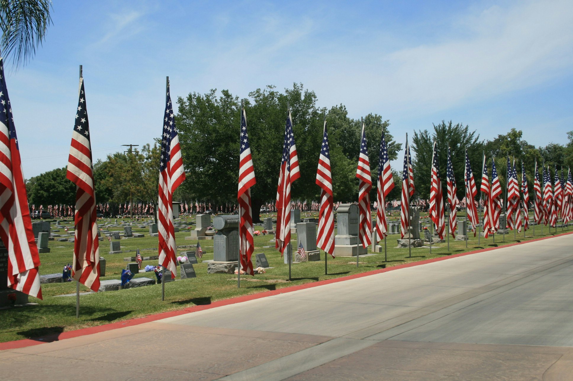 A cemetery lined with American flags, possibly during a patriotic holiday or memorial event.