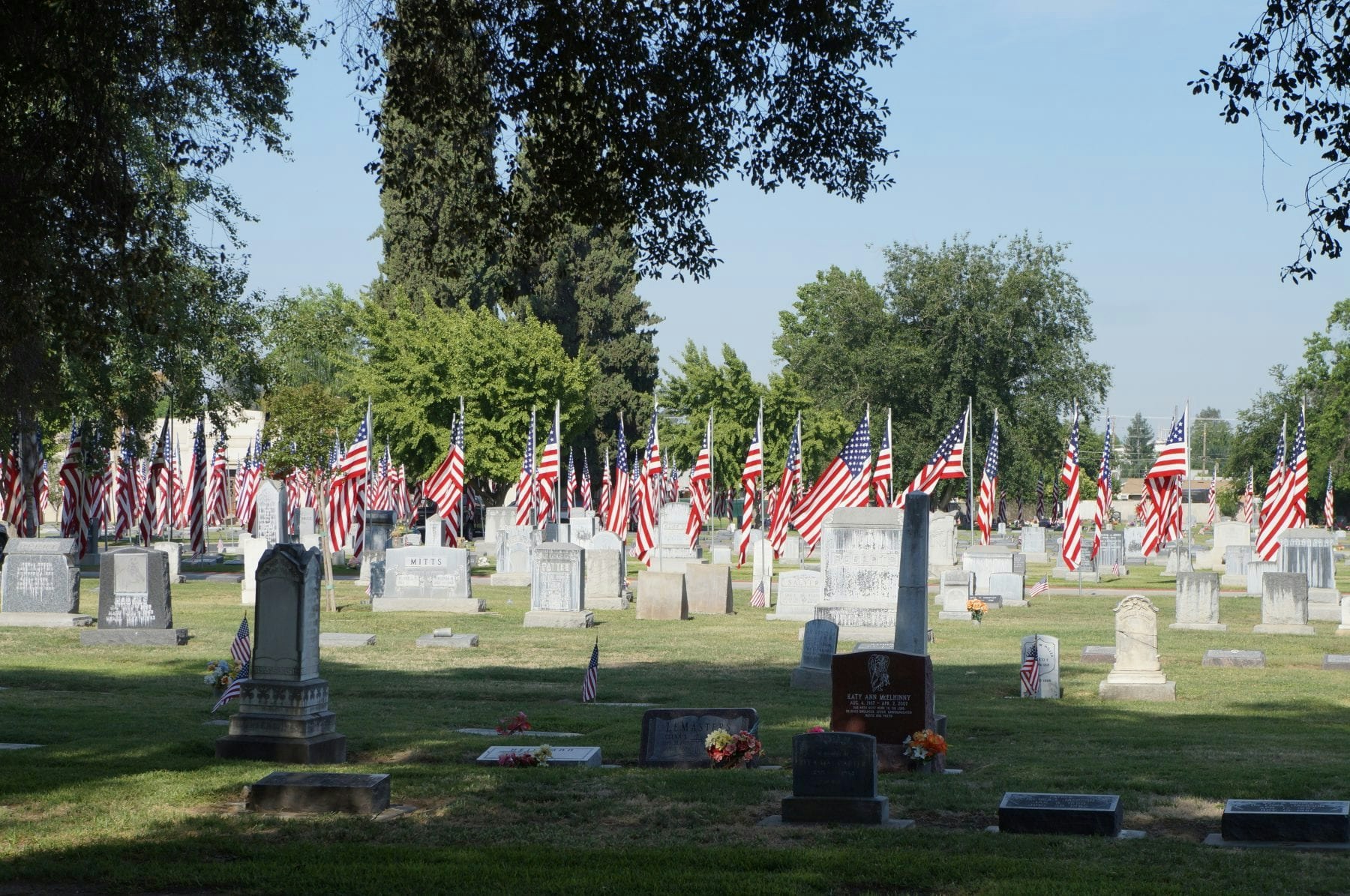 A cemetery adorned with numerous American flags, possibly for Memorial Day or Veterans Day.