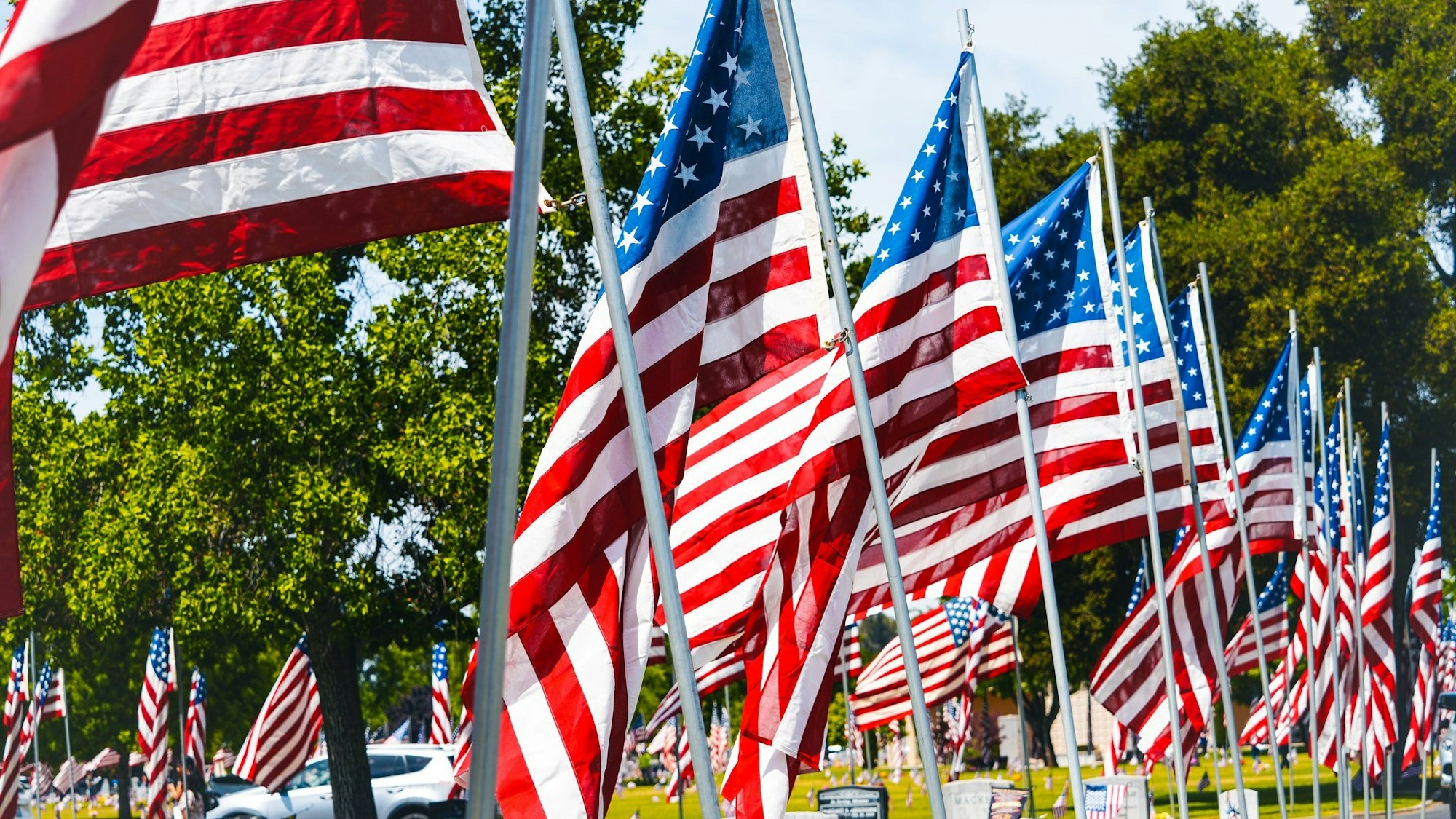 Multiple American flags are displayed outdoors in a row, with trees in the background.