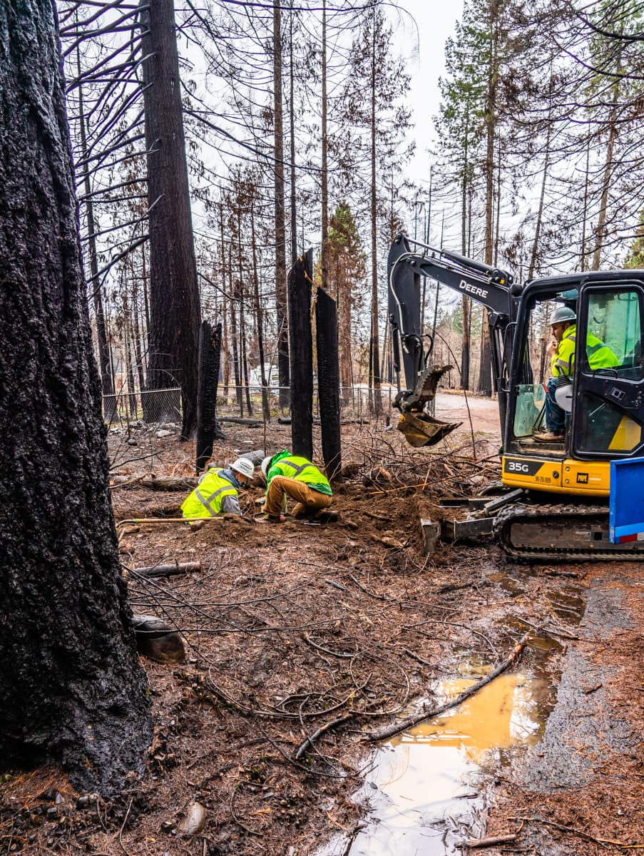 Workers in high-visibility jackets with an excavator in a forested area with burnt trees.
