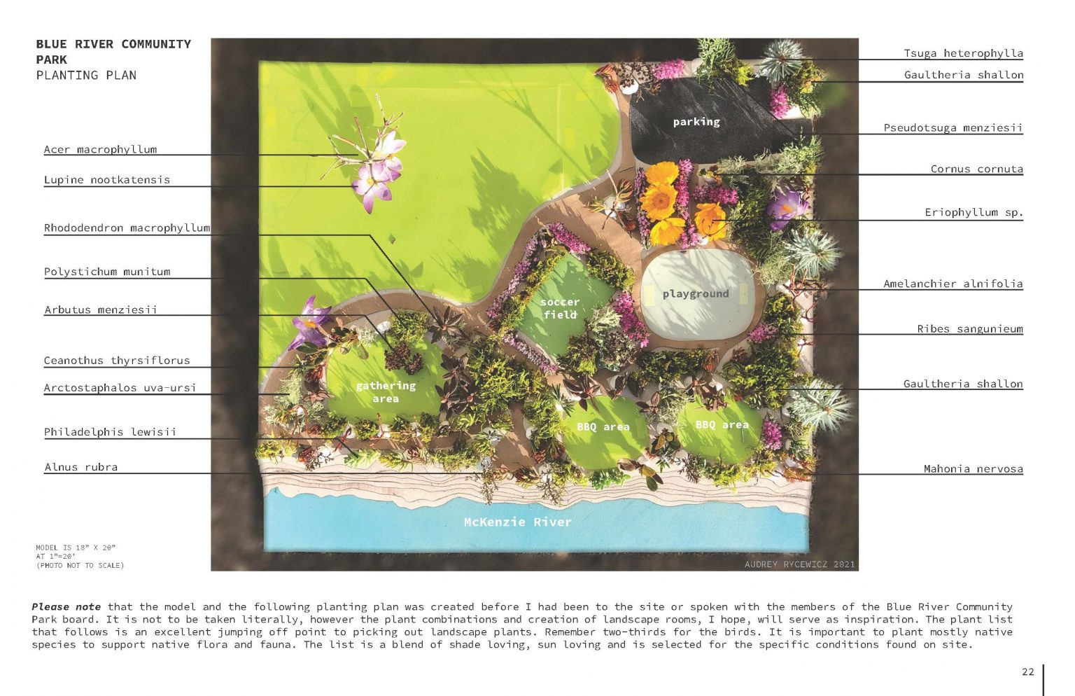 A planting plan for Blue River Community Park showing different areas and plant species.