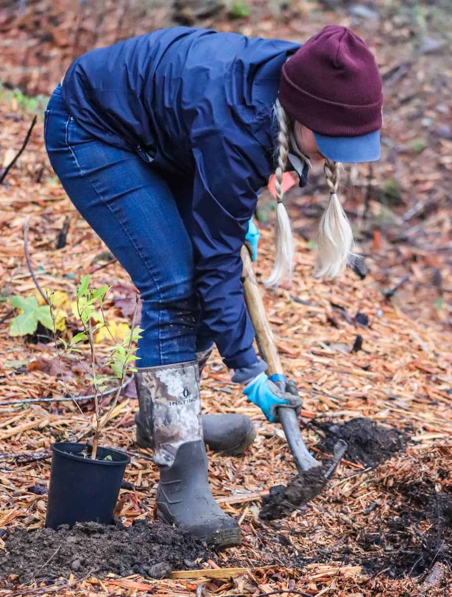 Person planting a tree, wearing a jacket, beanie, gloves, and boots.