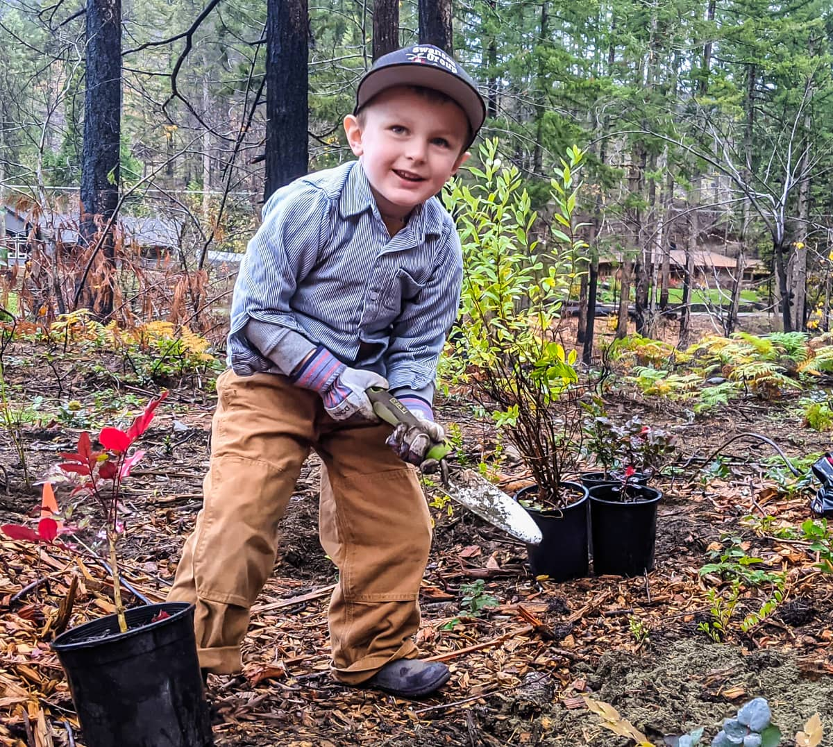 A child gardener in a forest setting with a shovel and plants, ready to garden.