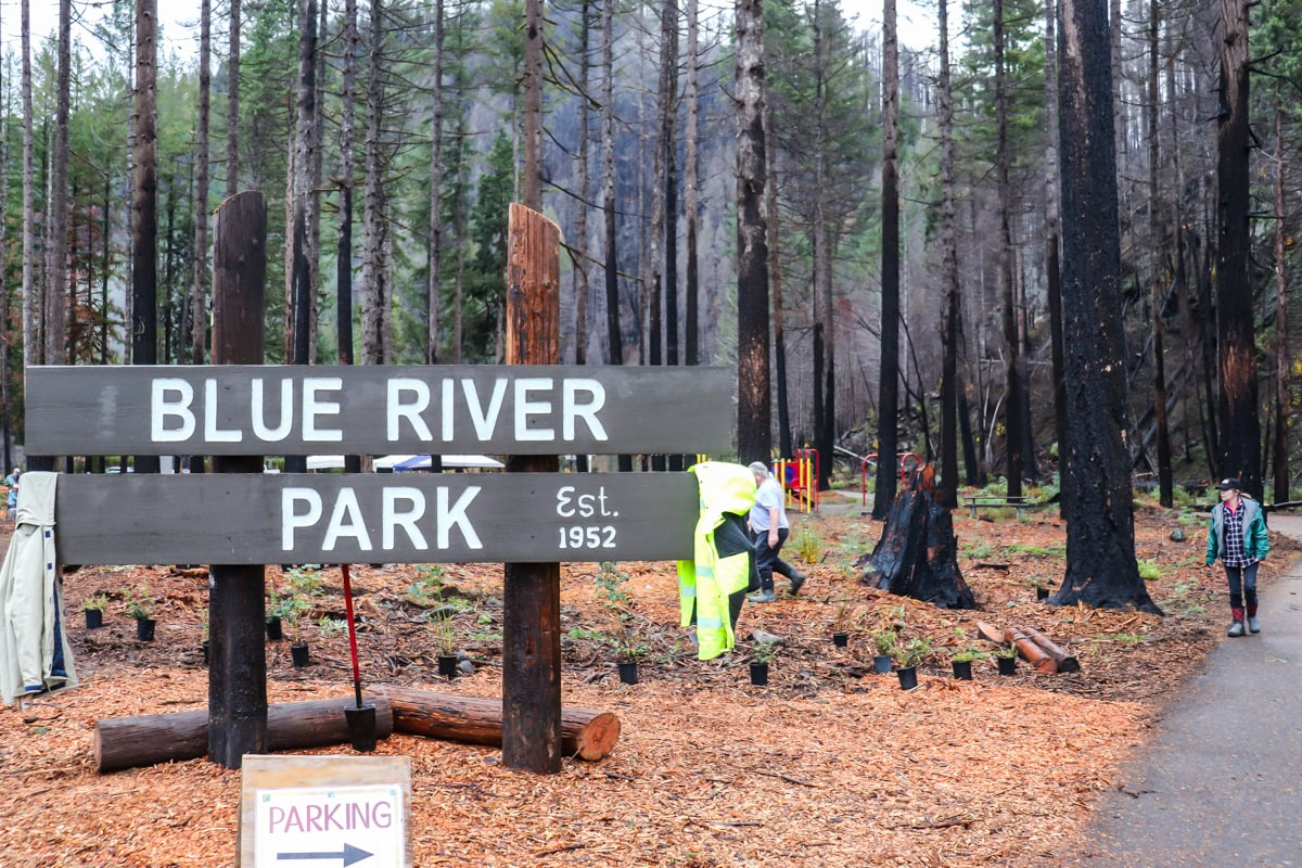 Sign for "Blue River Park" with people, charred trees, and a parking direction sign.