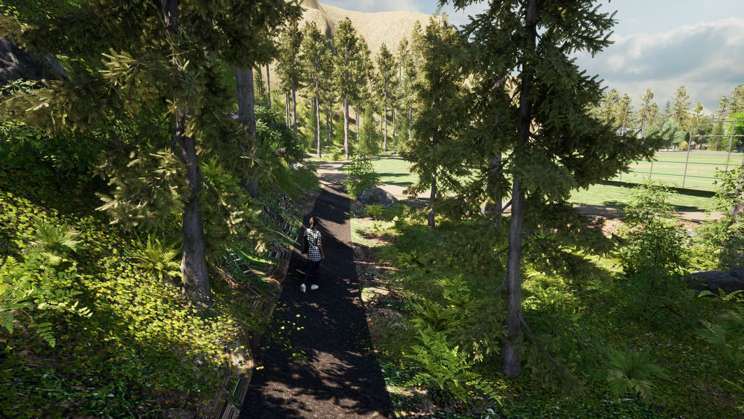 A person walking on a forest path near a sunlit open field with trees and greenery.