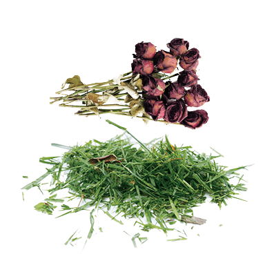 Dried roses and a pile of grass clippings against a white background.