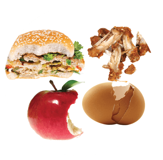 Burger, chicken bones, bitten apple, and cracked egg.