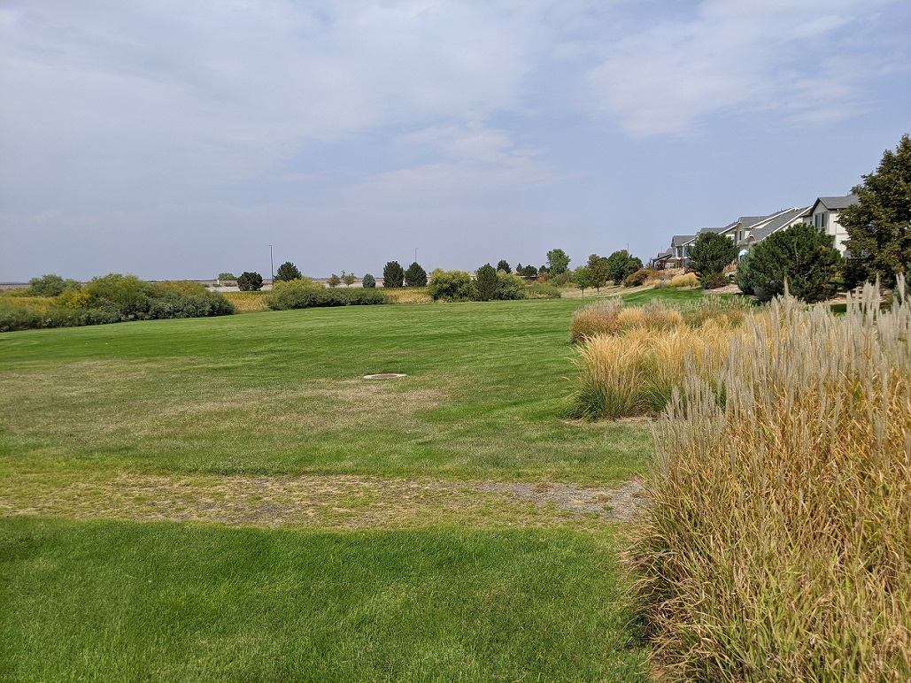 A grassy area with scattered bushes and plants, alongside a row of houses under a partly cloudy sky. Peaceful and open space.