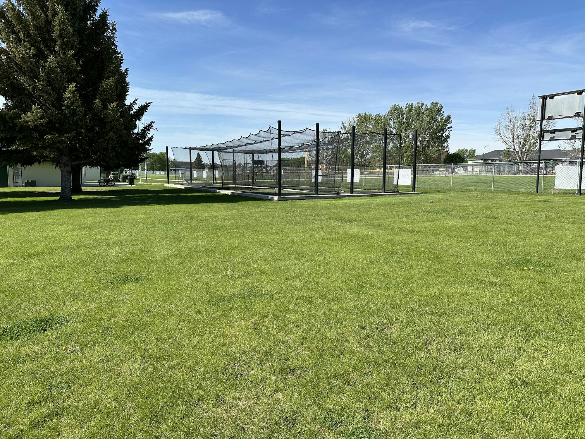 May contain: grass, plant, nature, outdoors, park, lawn, tree, and field