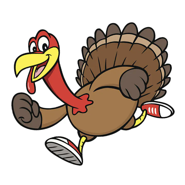 turkey running