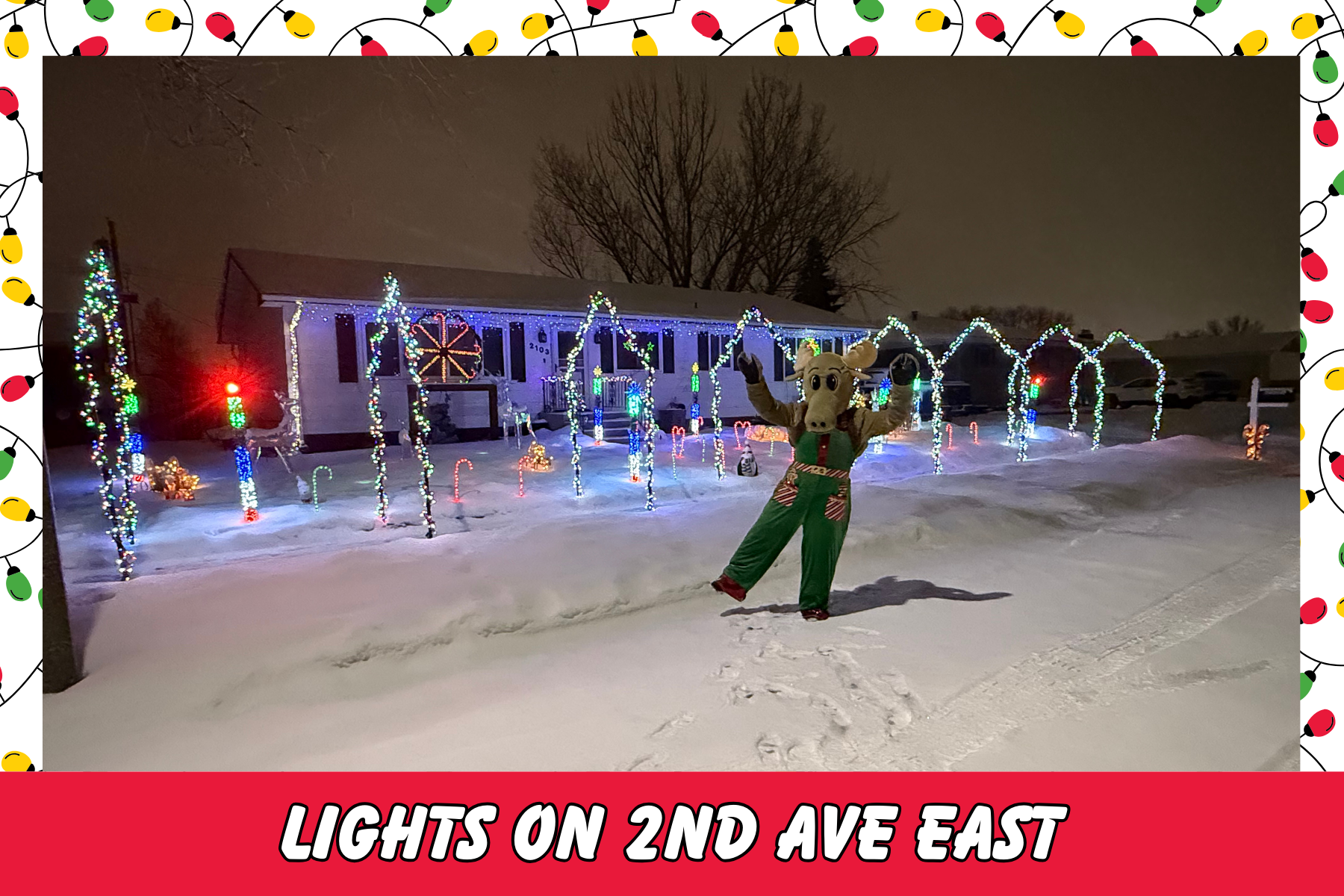 A festive house decorated with colorful Christmas lights in the snow, featuring a person in a moose costume celebrating.