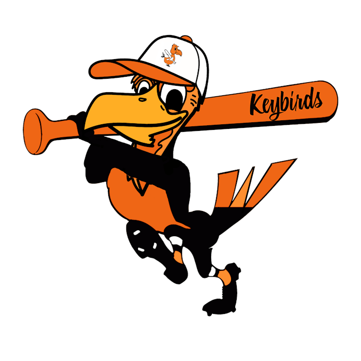 An animated bird in a baseball uniform with a bat labeled "Keybirds".