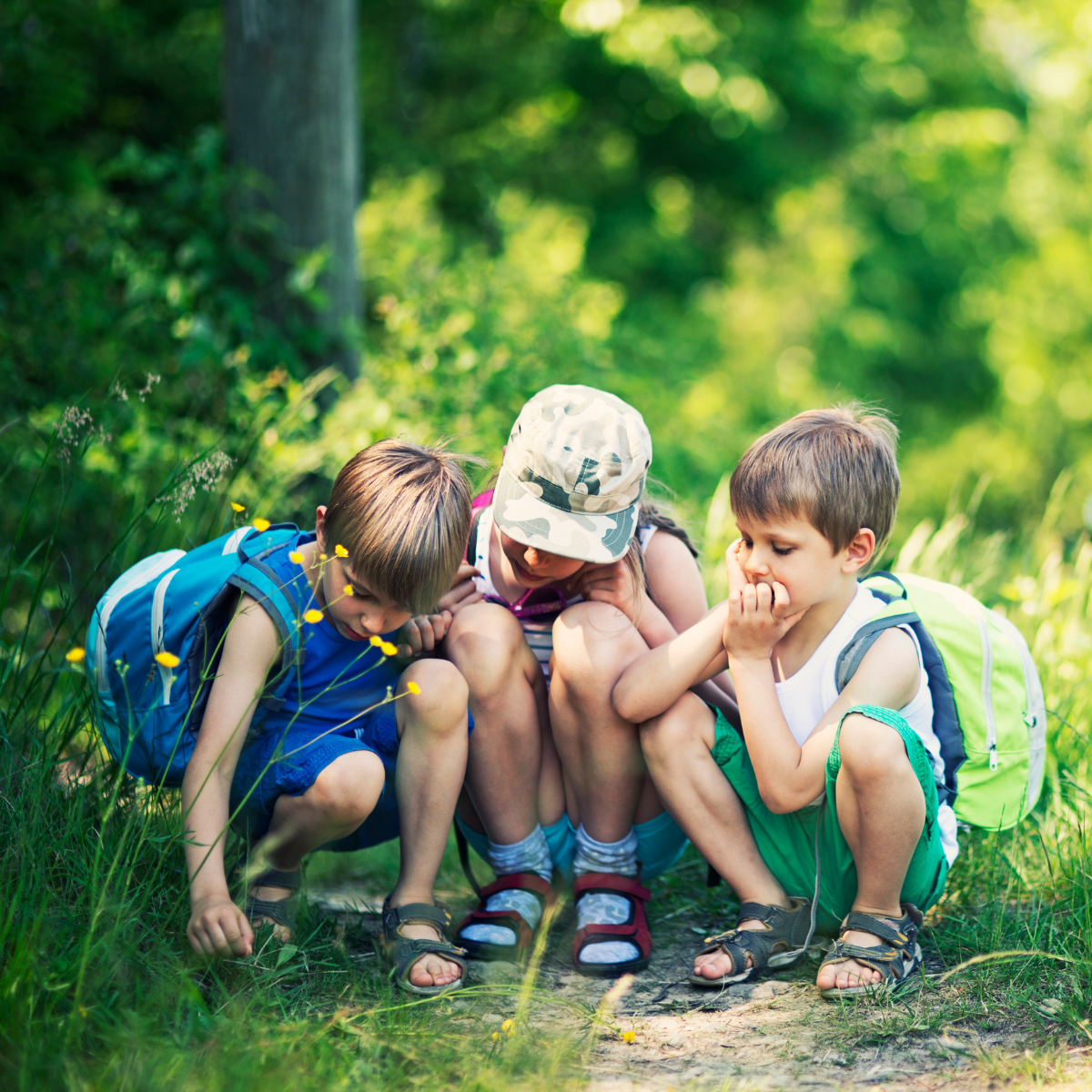 Three children are crouched down in a grassy area, curiously examining something on the ground, surrounded by nature.