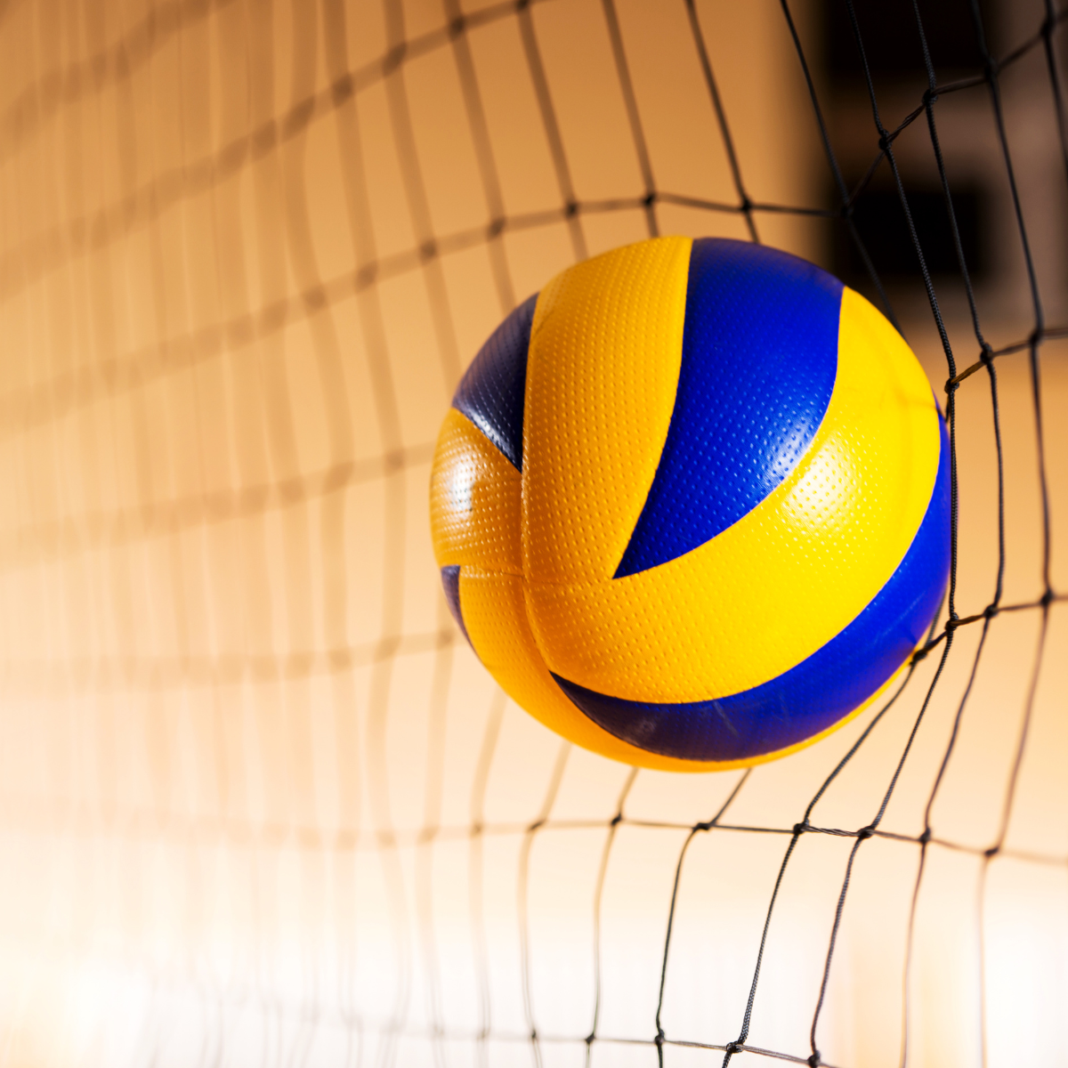 A blue and yellow volleyball caught in a white net against a warm background.