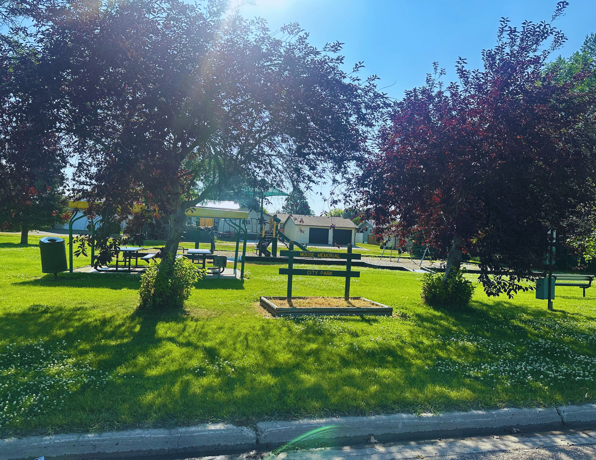 Park scene with green lawn, two trees, a swing set, picnic table, and park signs. Sunny day.