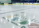 skating rink