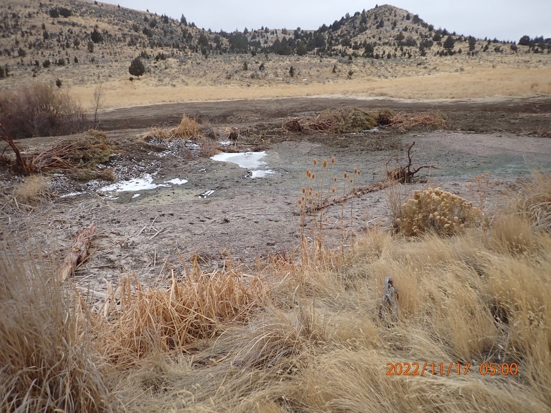 A barren landscape with dry grass, patches of water, and a hill in the background.