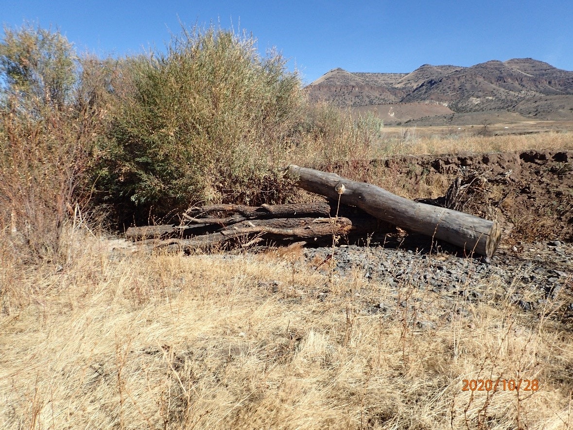 A dry landscape with shrubs, a pile of logs, and mountains in the background.