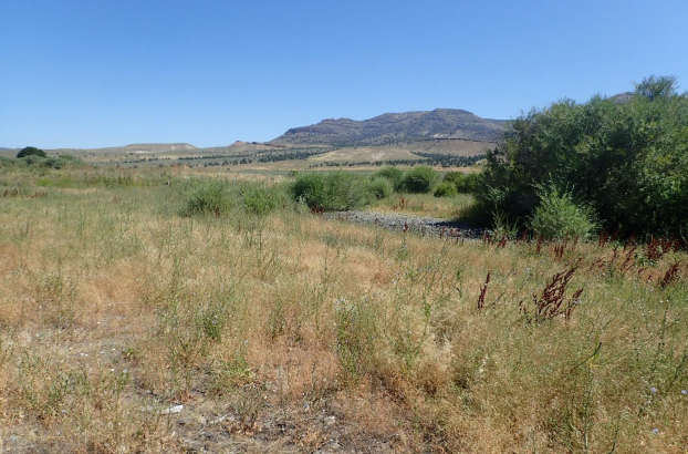 A dry grassland with shrubs in the foreground and a mountain range in the distance under a clear blue sky.