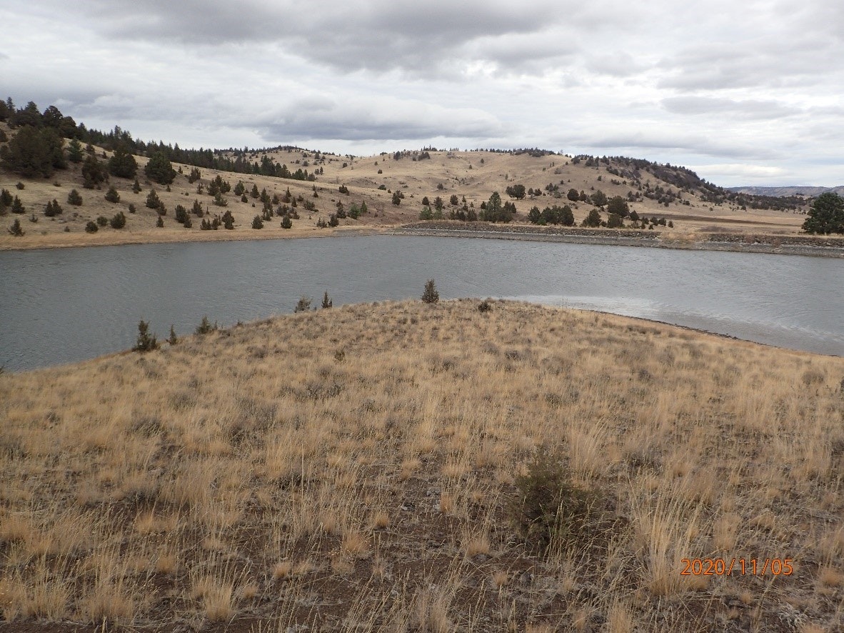 A scenic view of a hilly, grassy landscape with a body of water and overcast skies.