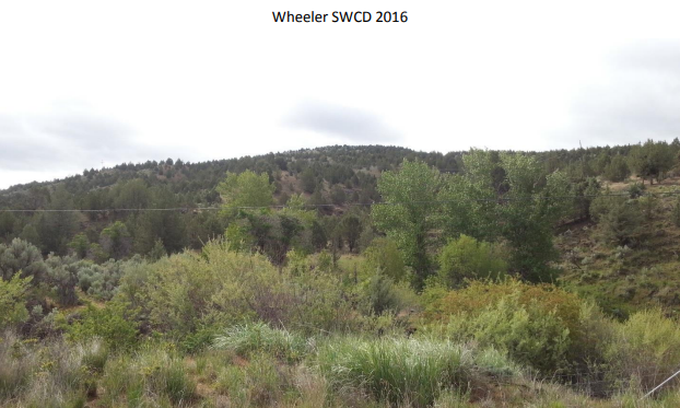 A natural landscape showing a variety of shrubs and trees under a cloudy sky, marked "Wheeler SWCD 2016".