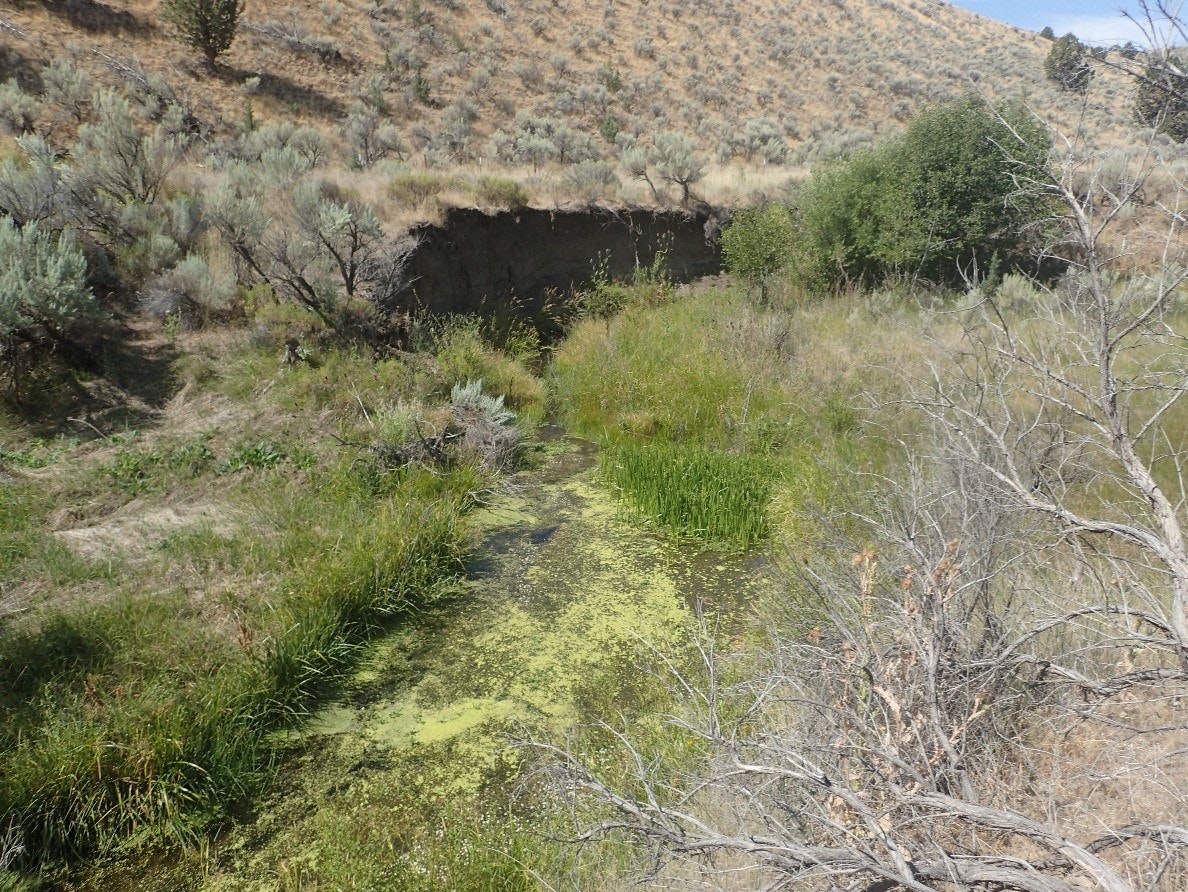 A dry landscape with sparse vegetation, a small body of water, and a hillside.