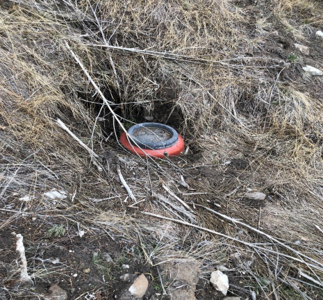 An overturned red pot in dry grass, possibly an old cooking utensil or planter, now discarded or lost in nature.