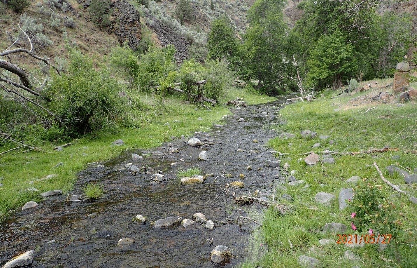 May contain: nature, outdoors, wilderness, creek, stream, water, rock, plant, vegetation, tree, land, path, trail, and woodland