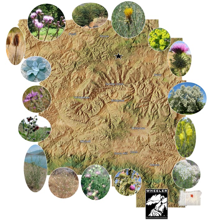 May contain: art and collage