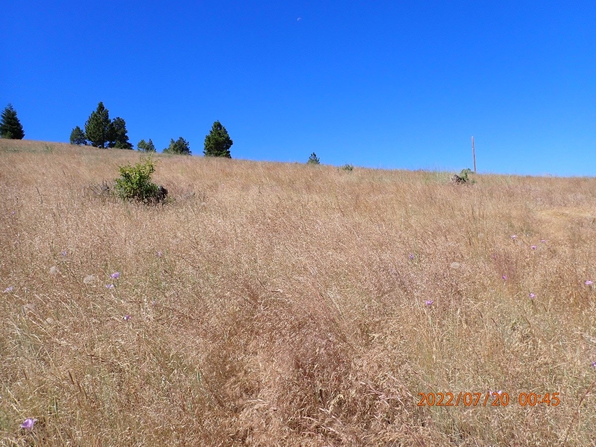 May contain: grass, plant, field, grassland, nature, outdoors, vegetation, land, countryside, farm, pasture, rural, and sky