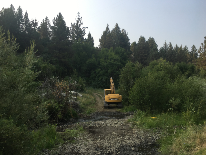 May contain: plant, tree, fir, gravel, road, conifer, vegetation, bulldozer, and machine