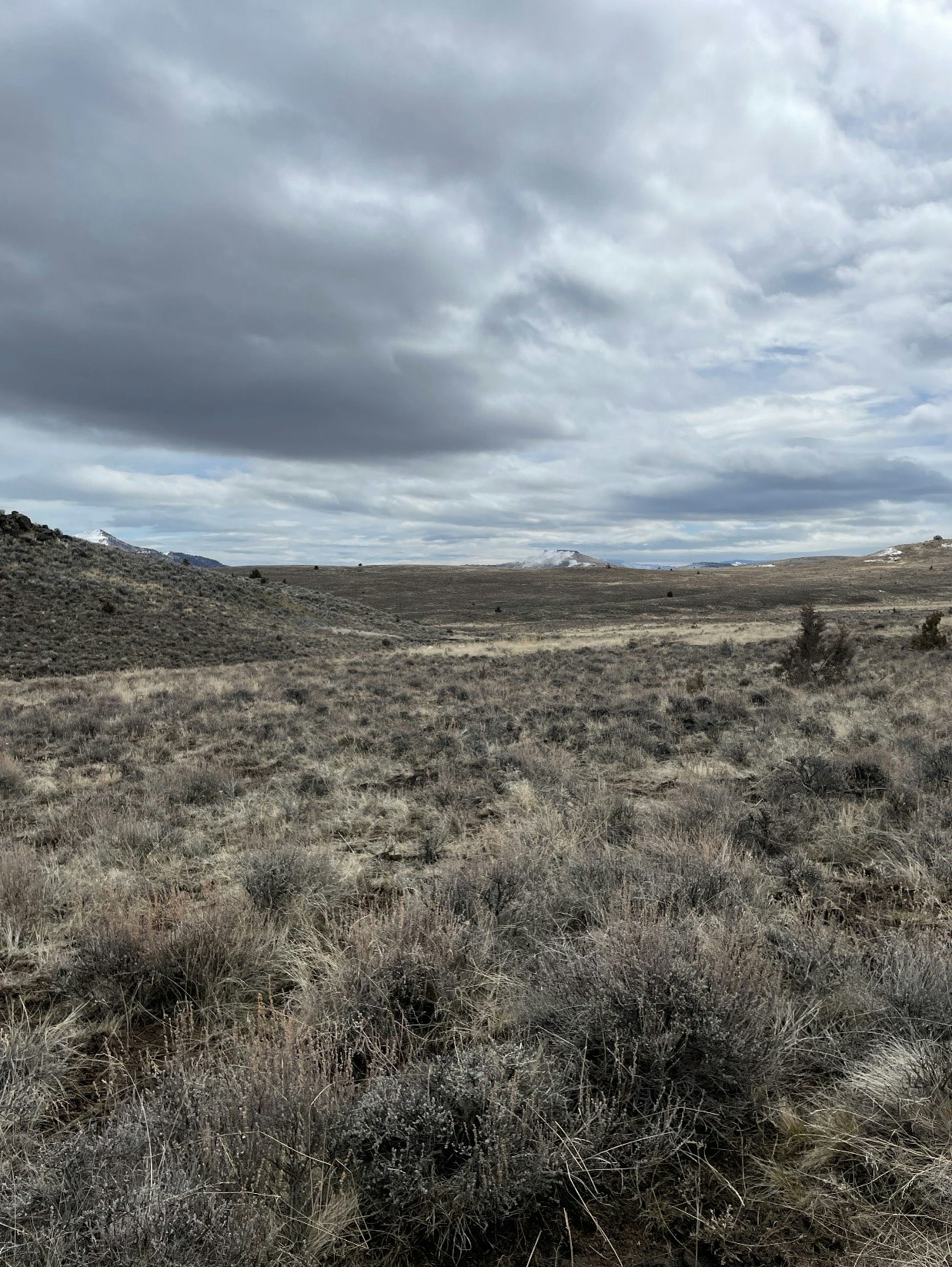 A landscape with cloudy sky and scrubland, but the image is rotated 90 degrees to the left.