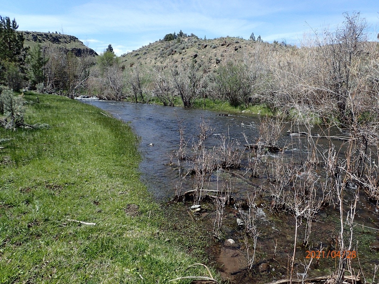 A tranquil river flowing through grassy banks with dry shrubs and hills under a clear blue sky.